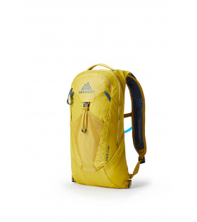 Раница Gregory Pace 6L H2O Winter 2024