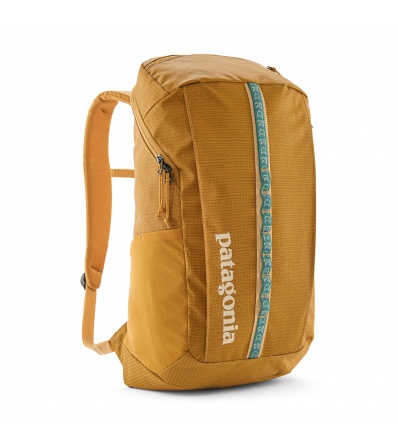 Patagonia Black Hole Pack 25L Summer 2025