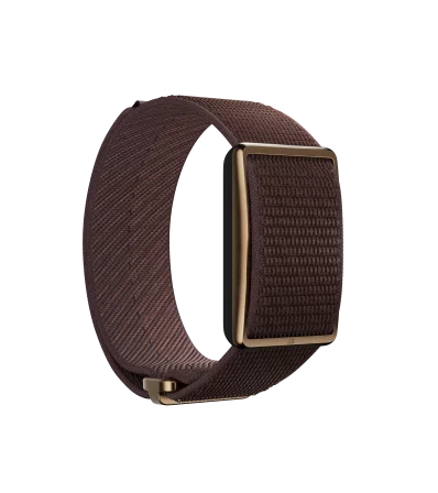 Гривна Polar Loop GEN 2