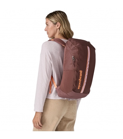 Patagonia Black Hole Pack 25L Summer 2025
