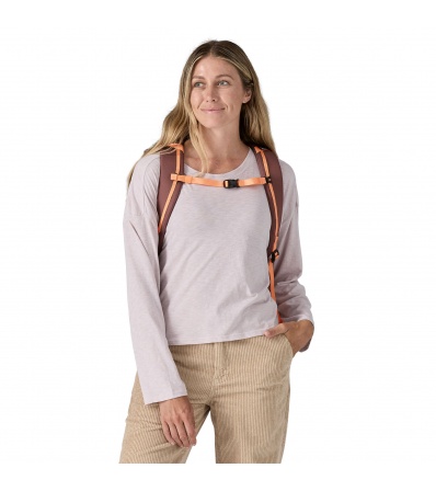 Patagonia Black Hole Pack 25L Summer 2025