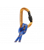 Mammut Sender Screwgate Carabiner