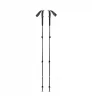 Black Diamond Trail Trekking Poles One Size
